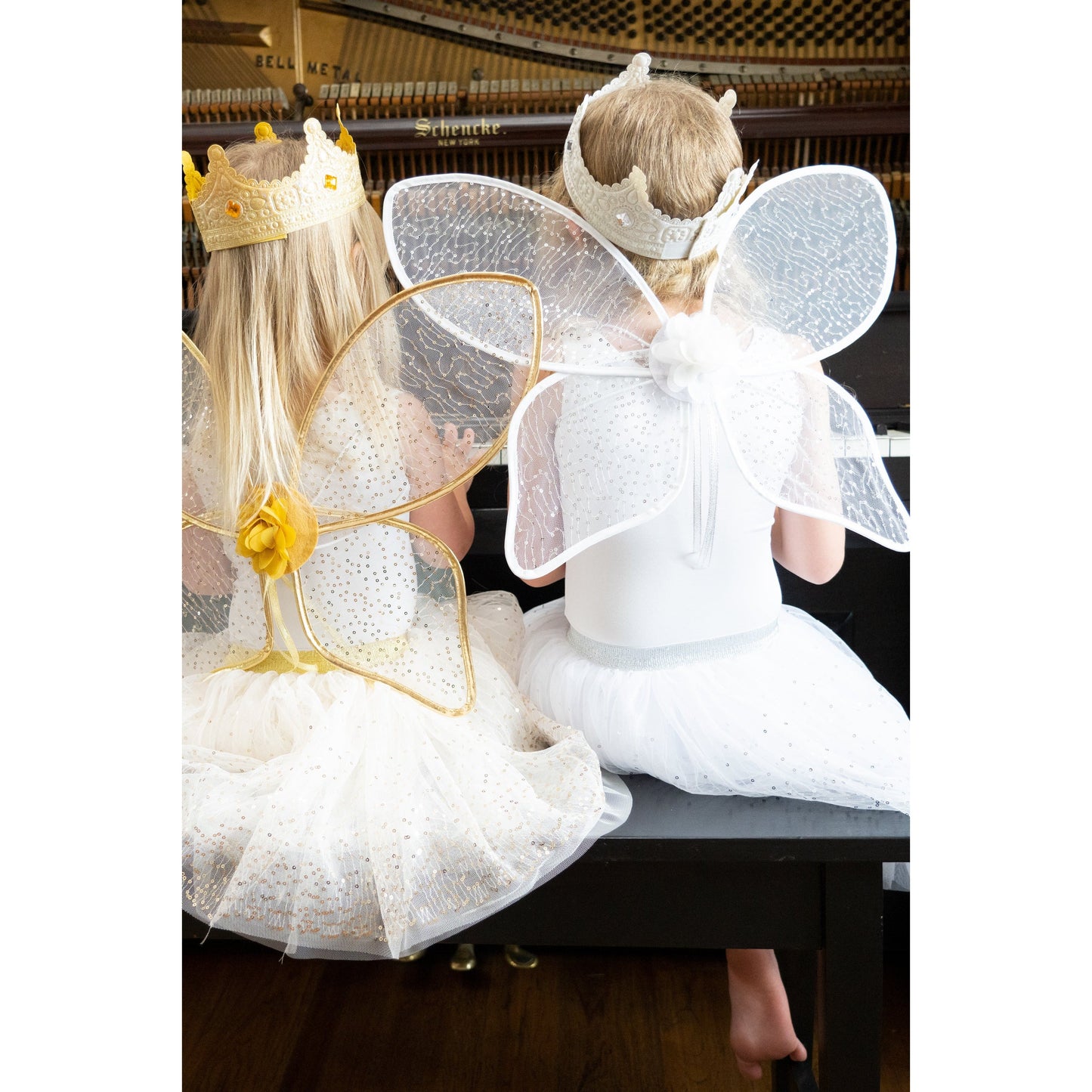 Princess -Silver Shimmer Wings