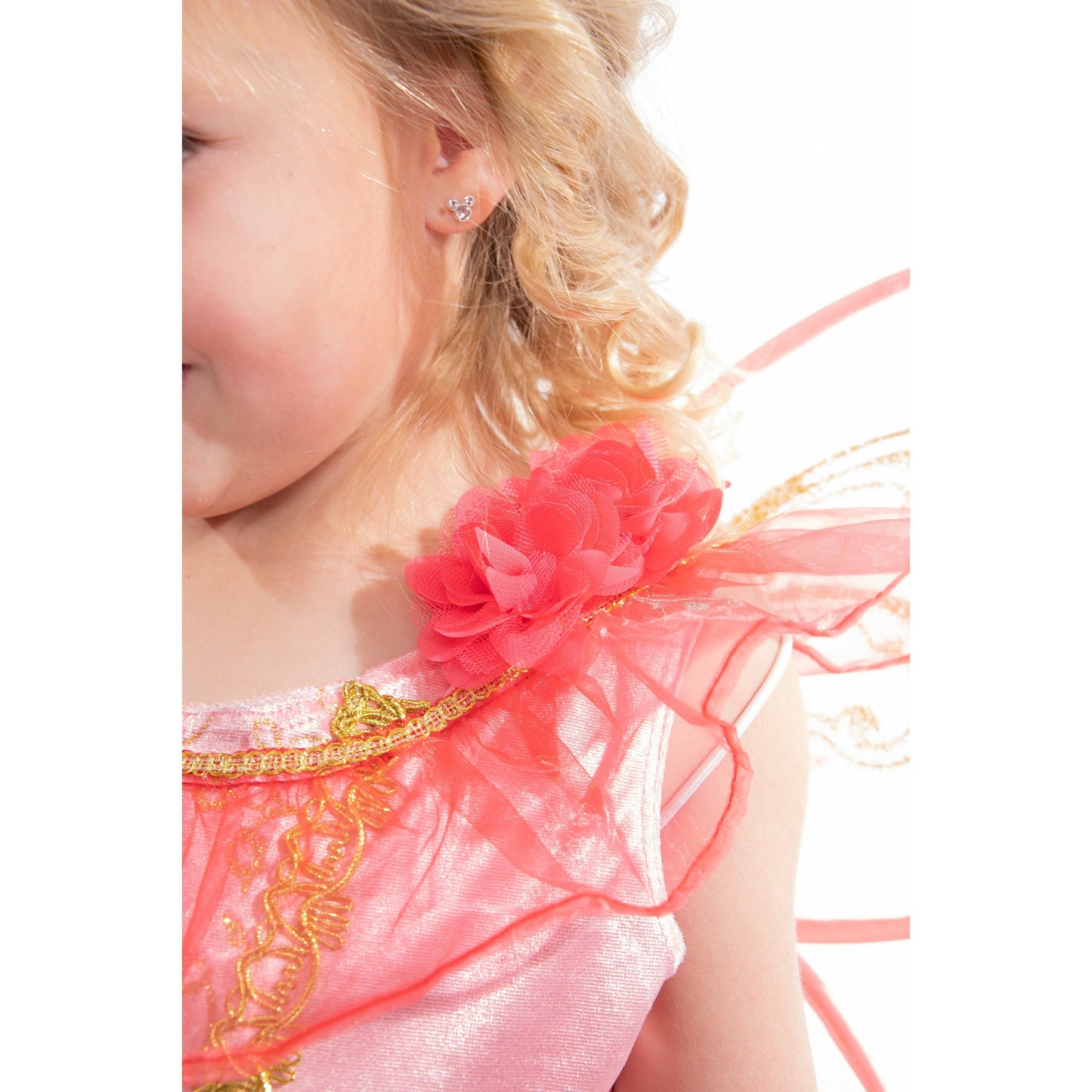 Princess - Butterfly Fairy Clair's Corner