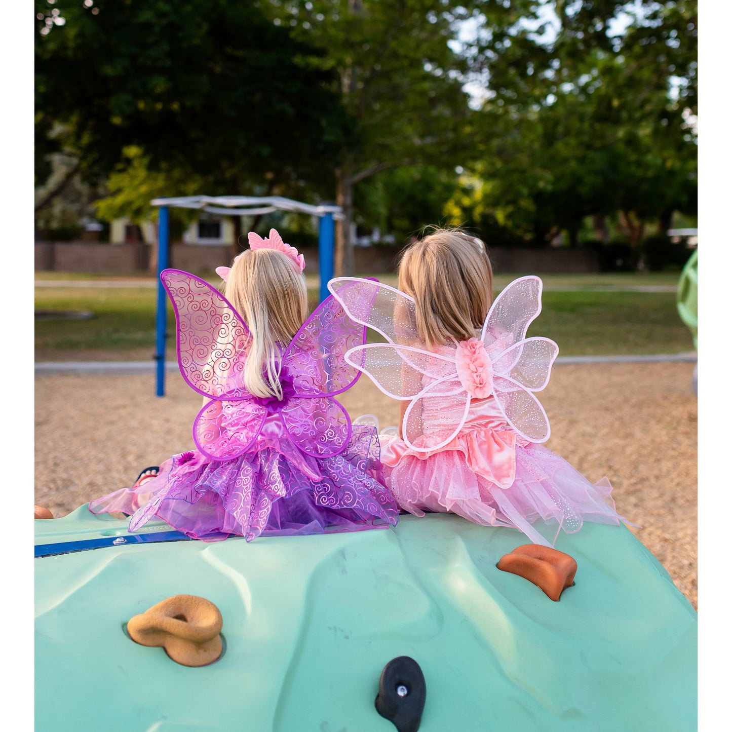Princess -Purple Blossom Fairy Wings Clair's Corner