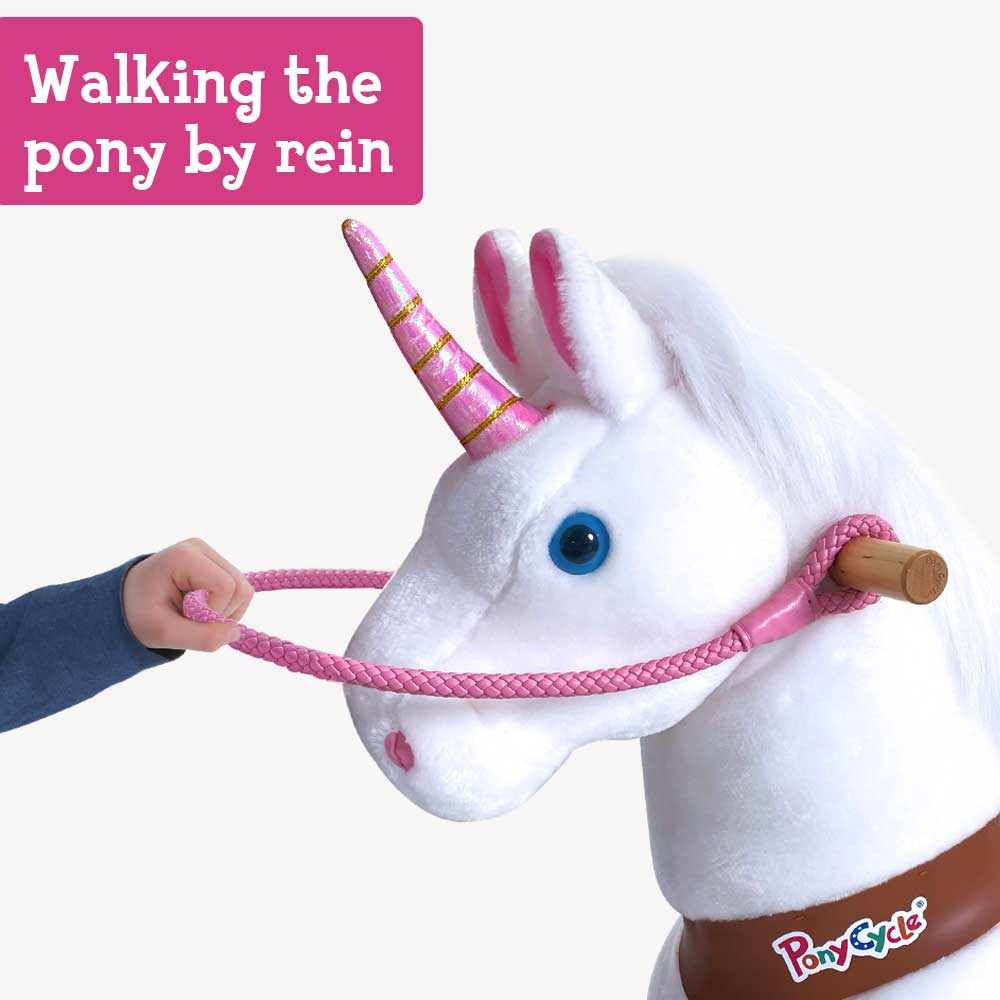 Pony Rein