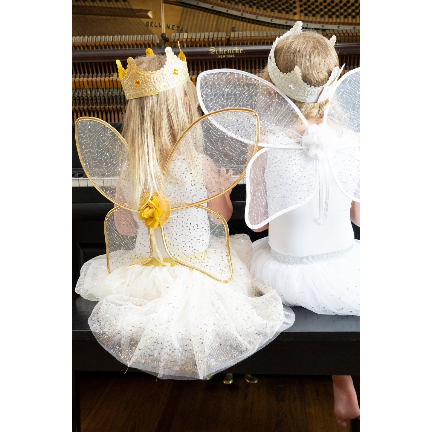 Princess -Gold Shimmer Wings