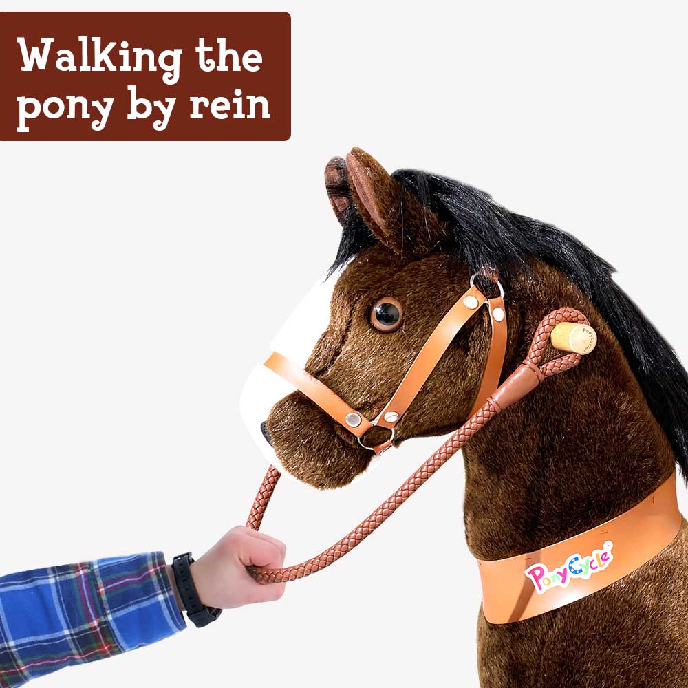 Pony Rein