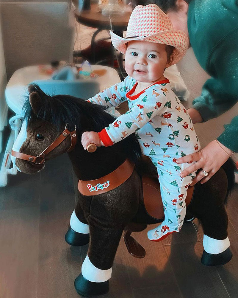 PonyCycle Model U -The Most Popular Model